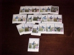 1986 Pittsfield Cubs Team Set (Pittsfield Cubs)