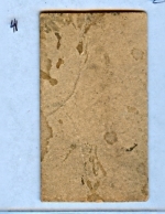 silver flint (Chicago) Batting