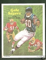 Paul  Warfield (Miami Dolphins)