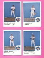 1986 Tidewater Mets Team Set (Tidewater Mets)