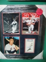 Ted Williams Autographed Piece-PSA/DNA (Boston Red Sox)