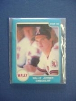 Wally Joyner Star Set (California Angels)