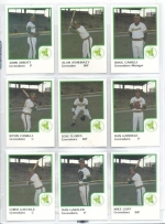 1986 Greensboro Hornets Team Set (Greensboro Hornets)