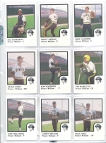 1986 Prince William Pirates Team Set (Prince William Pirates)