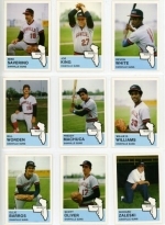 1982 Danville Suns Team Set (Danville Suns)