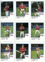 1986 Asheville Tourists Team Set (Asheville Tourists)
