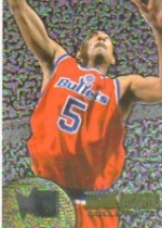 1995-96 Fleer Metal Silver