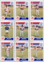 1984 Tulsa Drillers Team Set (Tulsa Drillers)