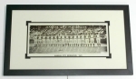 (Kansas City Monarchs)
