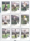 1986 Prince William Pirates Team Set (Prince William Pirates)