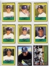 1991 San Bernardino Spirit Team Set (San Bernardino Spirit)