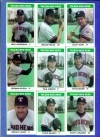 1987 Toledo Mud Hens Team Set (Toledo Mud Hens)