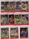 Matt Nokes Star Set (Detroit Tigers)