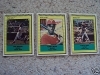 1991 Tucson Toros Team Set (Tucson Toros)