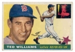 Ted  Williams (Boston Red Sox)