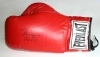 Autographed  Boxing Gloves