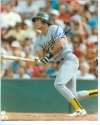 Jose Canseco Autographed 8 x 10 (Oakland Athletics)